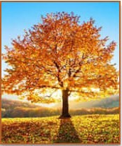 Thoughts and Prayers