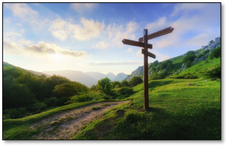 Thoughts and Prayers