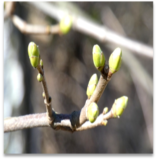 Thoughts and Prayers