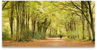 March Group Walk