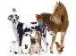 Trinity 3, Proper 7 | Celebrating with Animals thumbnail