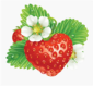 Strawberry Tea thumbnail